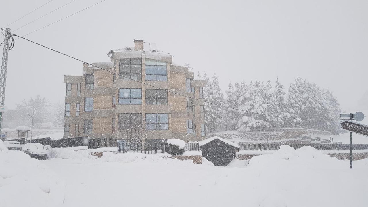 Saint Michel Chalets Al Arz Eksteriør billede
